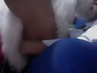 Dog Gives It To Him Gaybeast - Beastiality Porn Video