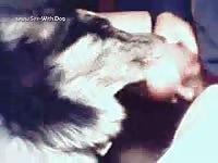 Dog Lick My Member Funkynitro Fhgdu