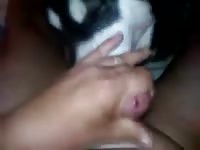 Dog Licking Cock Gaybeast.Com - Zoo Xxx Porn Movie
