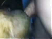 Dog Licking Nice Cock Gay Beast Com - Beastiality XXX Sex Video