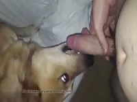 Dog Licks Big Cock Gay Beast Com - Beastiality Sex Movie