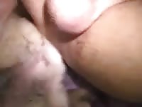 Dog Mount And Dildo Gaybeast.Com - Animal Sex Tube