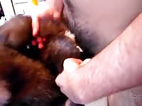 Dog Plush Gaybeast - Animal Sex Tube