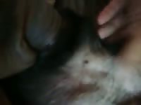 Dog Sheath Fucked Gaybeast.Com - Animal Sex Porn Movie