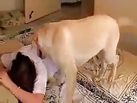 Dog Wants It Petsex Com - Beastiality Porn Movie