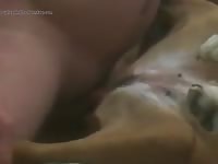 Doggie Sex Gaybeast Rip - Animal Sex Movie
