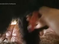 Doggy Handjob Gaybeast.Com - Animal Porn Movie