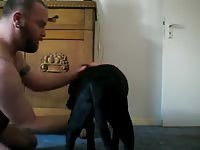 Dogs Blowjob Gaybeast - Beastiality Sex Video