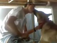 Dogs Licking My Dick Gaybeast - Zoo Xxx Porn