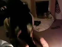 Dude Gets Fucked By Dog On Webcam Gaybeast.Com - Bestiality Sex Tube