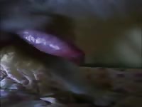 Ejaculation On Cock Mi Perro Y Yo 3 Gaybeast Rip - Beastiality Sex Video
