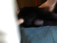 Fast And Hard Doggy Anal Gaybeast Rip - Beastiality Porn