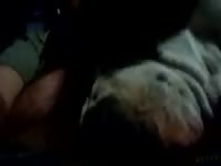 Fdsm 011