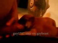 Feeding Puppies Gaybeast - Beastiality Sex Tube