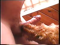 Female Dog Blowjobs Dog Bj