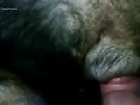 Female Rott Gay Beast Com - Animal Porn Video