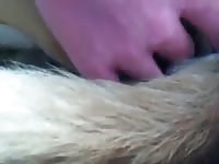 First Time Fingering Gaybeast Rip - Animal Porn Video