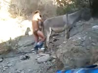 Fuck A Mule Gay Beast Com - Bestiality Sex