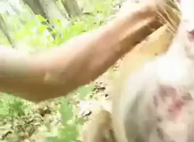 Xxxii Hd Animal Vidos - Fuck Men Deer Gaybeast.Com - Bestiality Sex Video - Katitube Kinky Sex