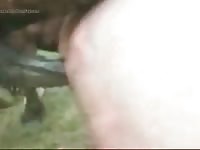 Fucked By Horse 1 Gaybeast.Com - Beastiality Porn Video