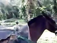 Fucking A Mare While Working On The Farm Gaybeast.Com - Beastiality XXX Porn Tube