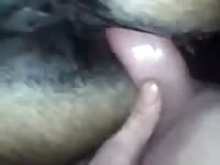 Fucking A Wet Mare Pussy Gaybeast - Animal Sex Tube
