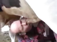 Fucking Horse Gay Beast Com - Zoo Xxx Porn Tube