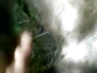 Fudendo A Cadela No Quintal Gay Beast Com - Zoo Xxx Porn Video