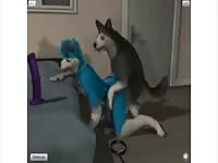 Furry Husky And Dog Gaybeast.Com - Beastiality Sex Tube