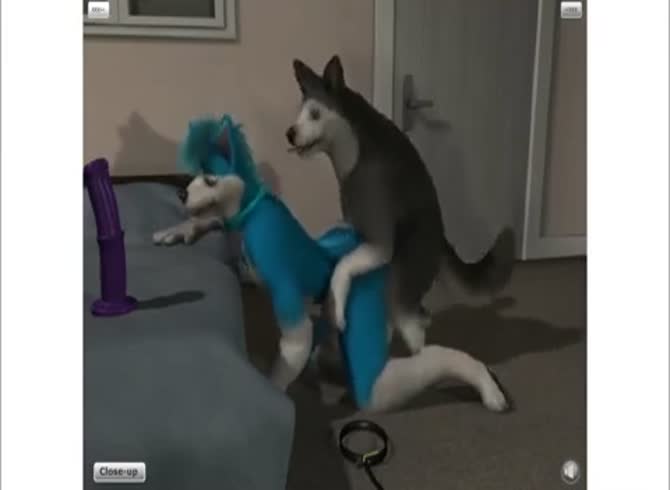 Blu Dog Sex - Furry Husky And Dog Gaybeast.Com - Beastiality Sex Tube - Hentai, Zoo Porn  Other at Katitube