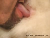 Fuzzybutt Love Gay Beast Com - Animal Sex Video