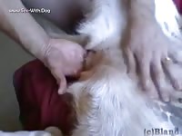 Gaybeast Rip Fem Dog Fingered And Fucked - Bestiality Porn Tube
