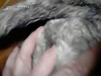 Gaybeast Rip Fingering - Bestiality Sex Video