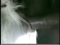 Gaybeast Man With Goat 2