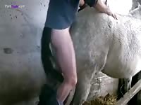 Gaybeast Mare Fuck And Cum