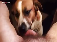 Gay Beast Com Men And Animals Dog 2618 Baxter - Beastiality Porn