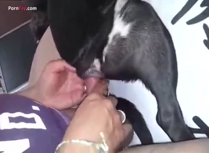 670px x 490px - Gaybeast.Com Men And Animals Dog And Man - Beastiality Sex Video - Zoo Porn  Dog, Zoo Porn With Men at Katitube