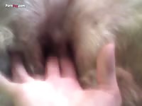 Gaybeast.Com Men And Animals Fingering My Girl 3 - Animal Porn Tube