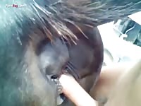 Animals And Man Super Sex Video - Gaybeast Rip Men And Animals Jan S Mares 5 - Animal Sex Video - Zoo Porn  Horse, Zoo Porn With Men at Katitube