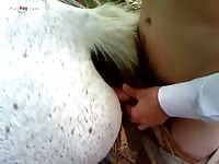 Gay Beast Com Men And Animals Man And Mare 2 - Beastiality Sex Video