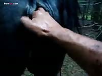 Gaybeast Rip Men And Animals Mare Fist 2 - Bestiality Porn Video2