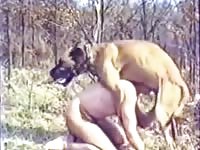Gaydog Full Version Gaybeast Rip - Zoo Xxx Porn