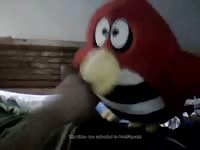 Getting A Blowjob From A Stuffed Bird Gaybeast.Com - Beastiality Sex Video