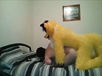 Getting My Ass Filled By The Yellow Fox Gaybeast.Com - Animal Porn