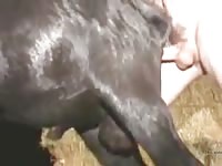 Goats Ass