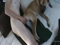 Good Dog 4 Gaybeast Rip - Bestiality Sex Movie