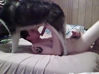 Guy And Dog 1 Gaybeast.Com - Bestiality Sex Movie