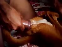 Guy Fucking His Female Dog