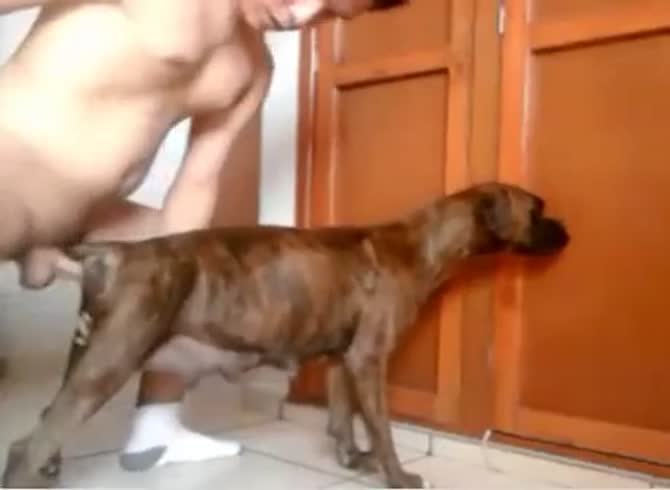 Fucked by dog porn