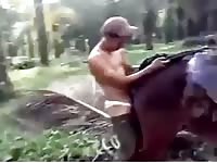 Guy Fucks Horse While Friend Films Gay Beast Com - Animal Sex Porn Movie